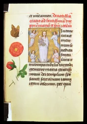 Virgem e Criança de Pé, Adored by Angels, c.1515-20 (pintura a têmpera e ouro em pergaminho)